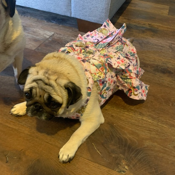 Meet your Posher’s, CHAI & ABIGAIL! - Picture 10 of 12